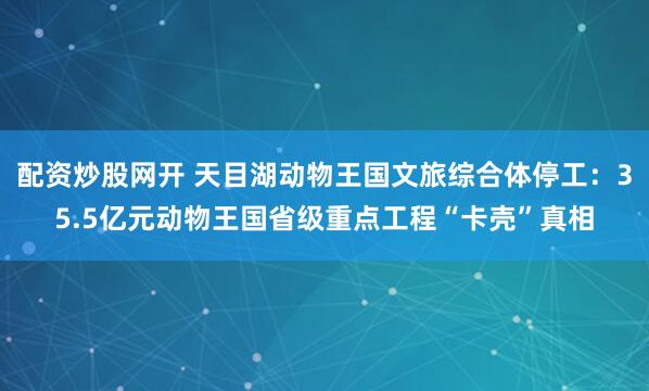 配资炒股网开 天目湖动物王国文旅综合体停工：35.5亿元动物王国省级重点工程“卡壳”真相