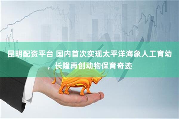 昆明配资平台 国内首次实现太平洋海象人工育幼，长隆再创动物保育奇迹